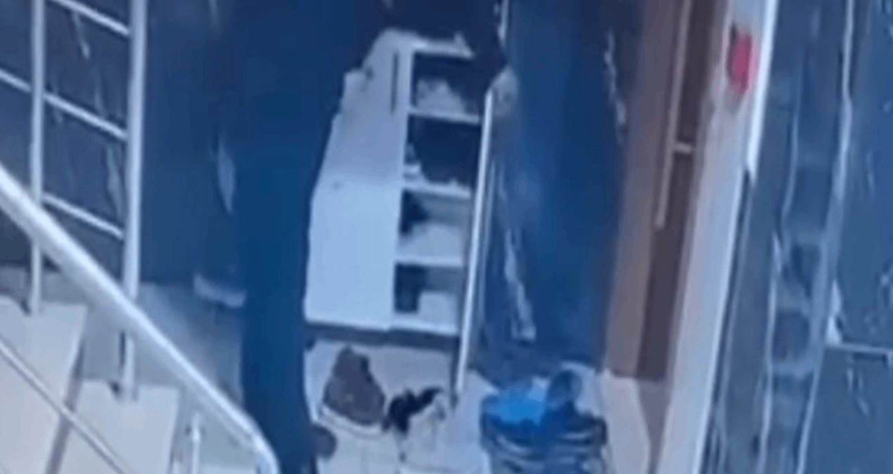 Apartmandaki ayakkabıları böyle çaldı