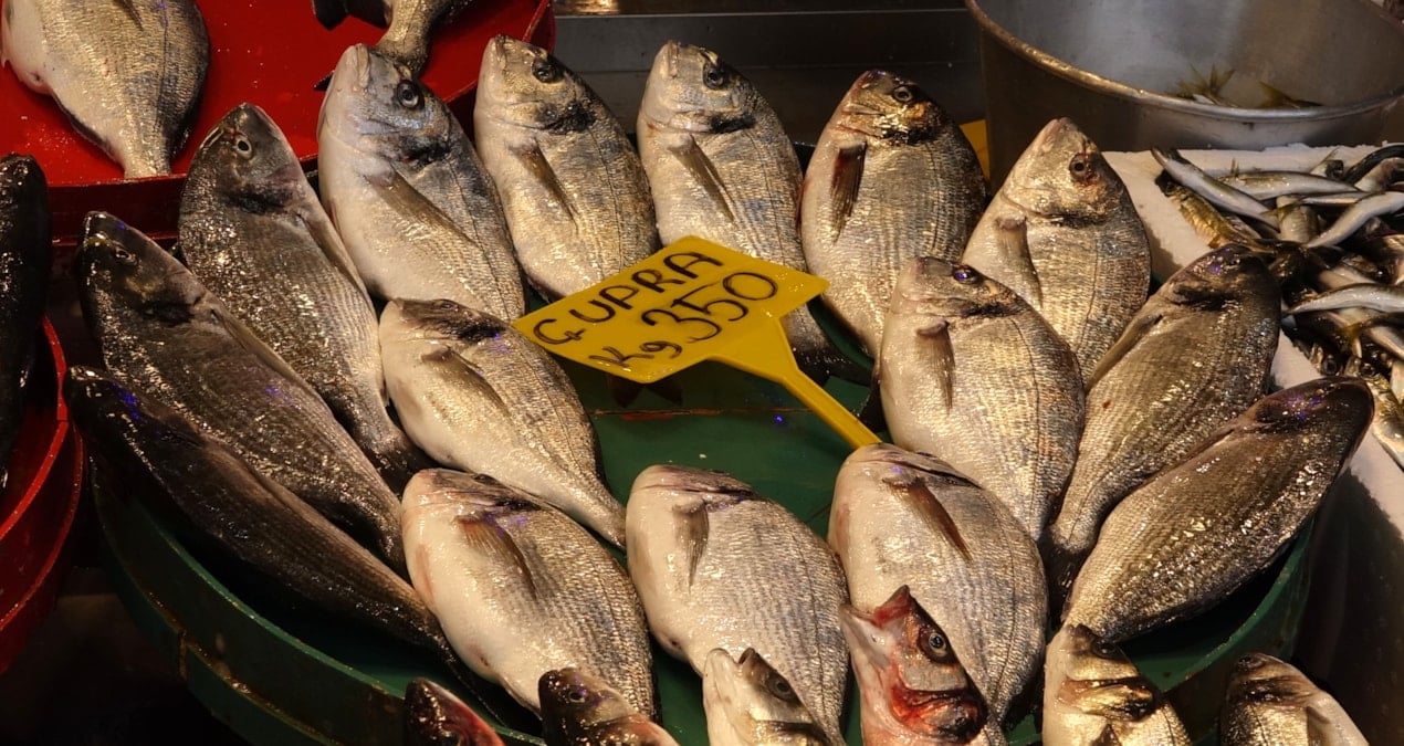 Yasak öncesi fiyatlar dip yaptı: Kilosu 200 liradan satılacak